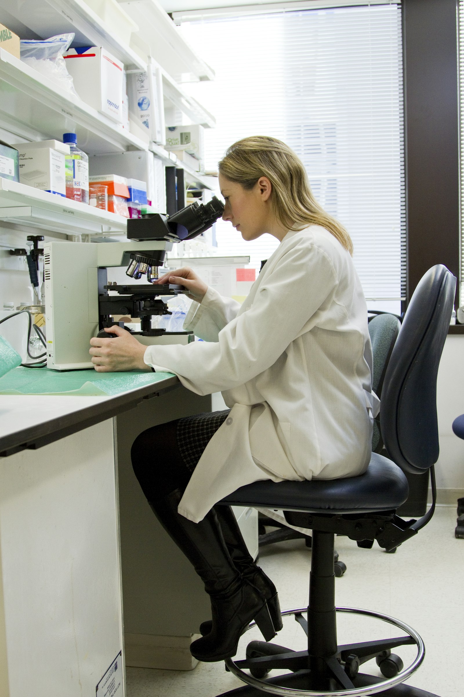 Pharmaceutical laboratory setup for discovery research